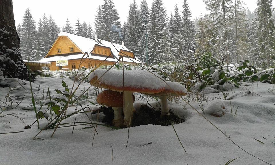 Koliba Ski Gruniky Sihelné Exterior foto